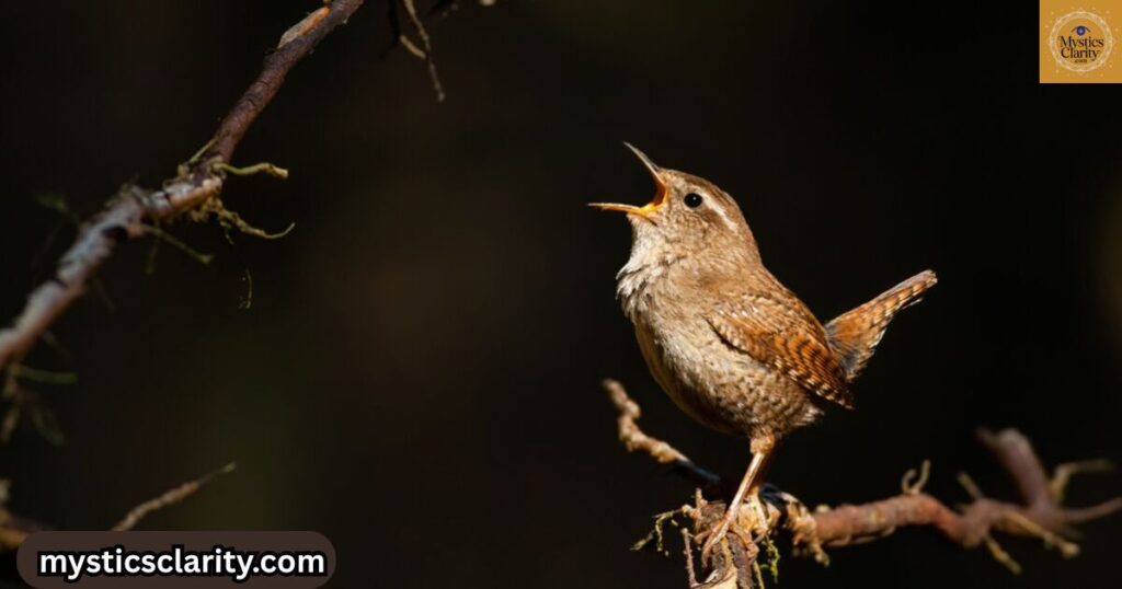 birds-chirping-at-1am-spiritual-meaning