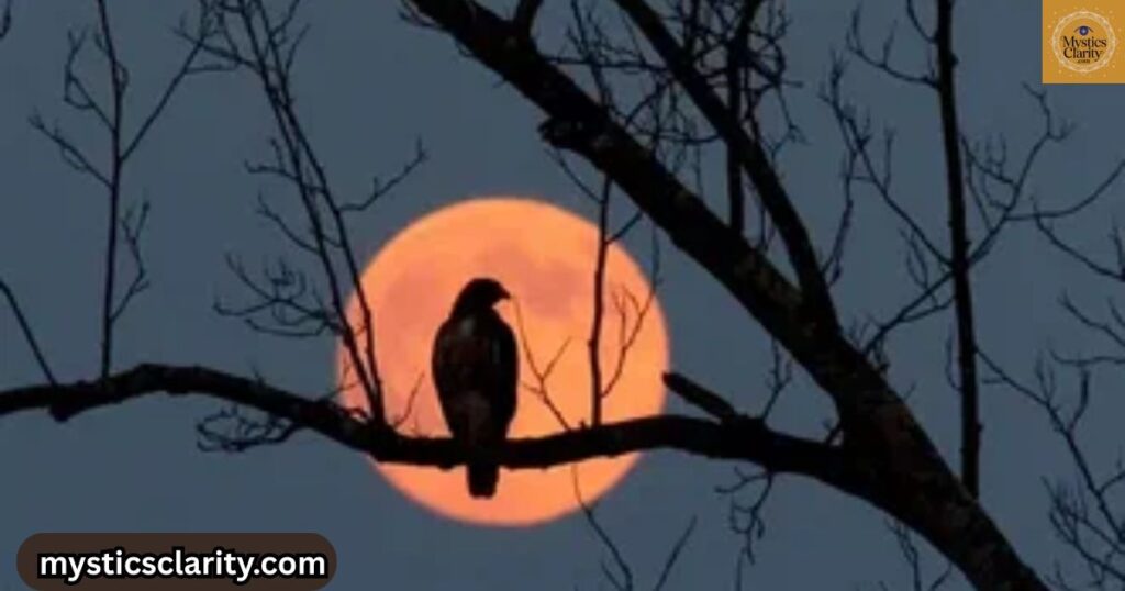 birds-chirping-at-night-bad-omen