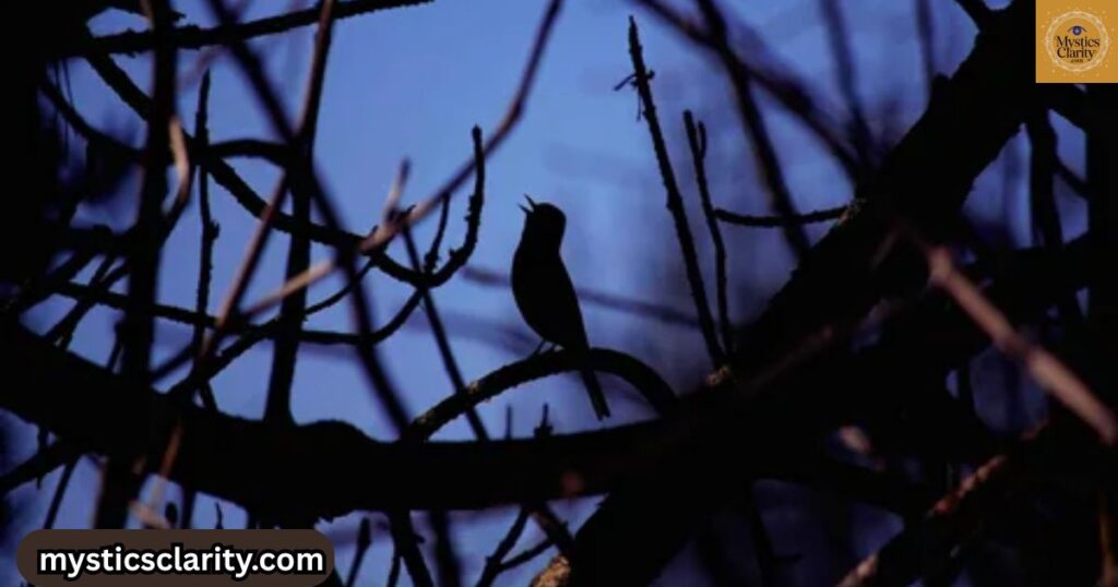 birds-tweeting-at-night-spiritual-meaning