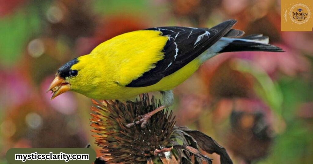 christianity-symbolism-of-yellow-bird