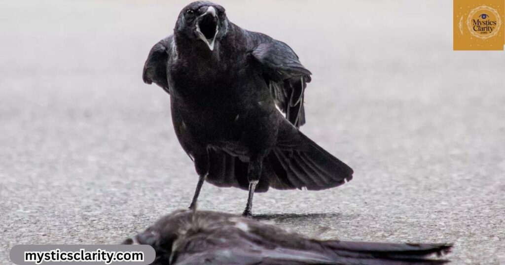 crows-transformation-and-intelligence