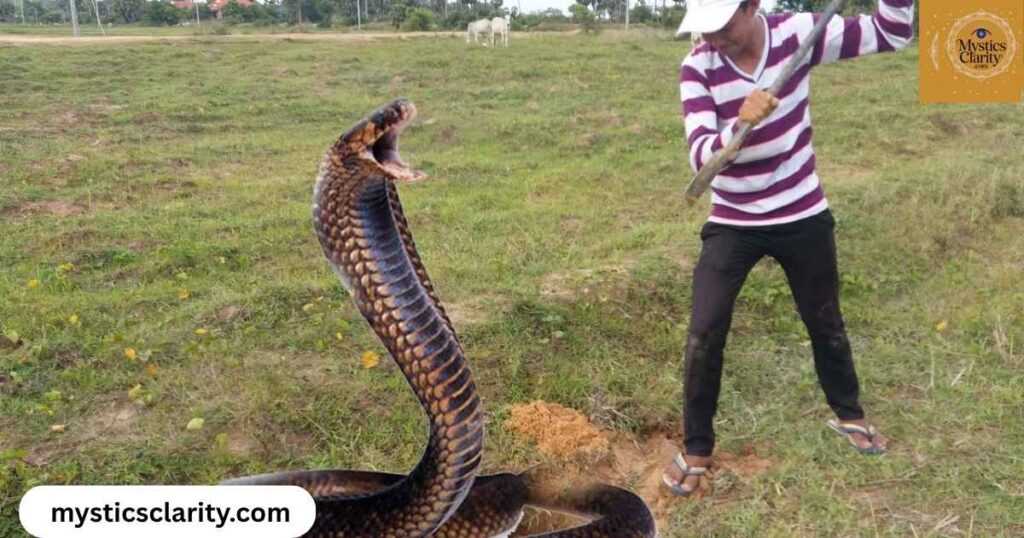 facing-your-fears