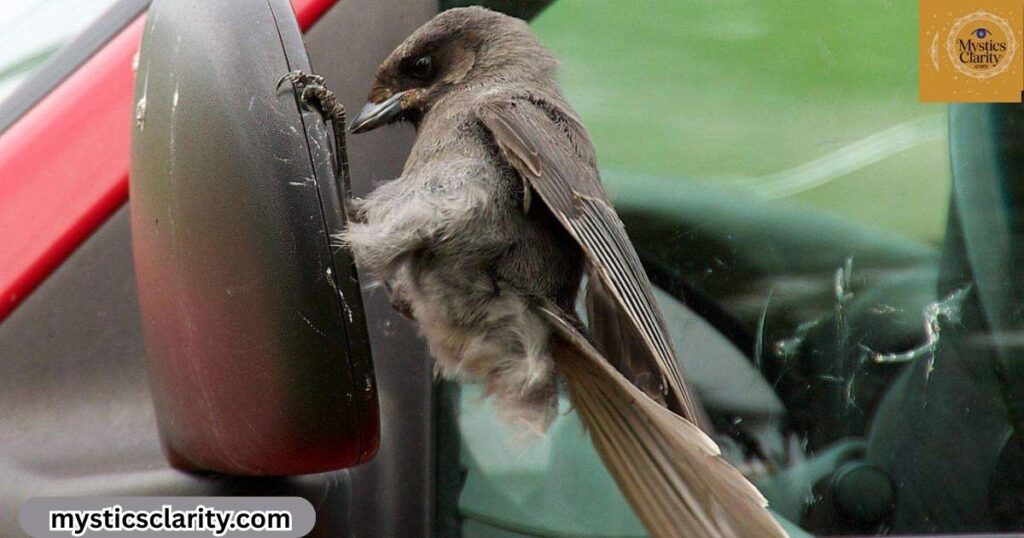 flight-interrupted