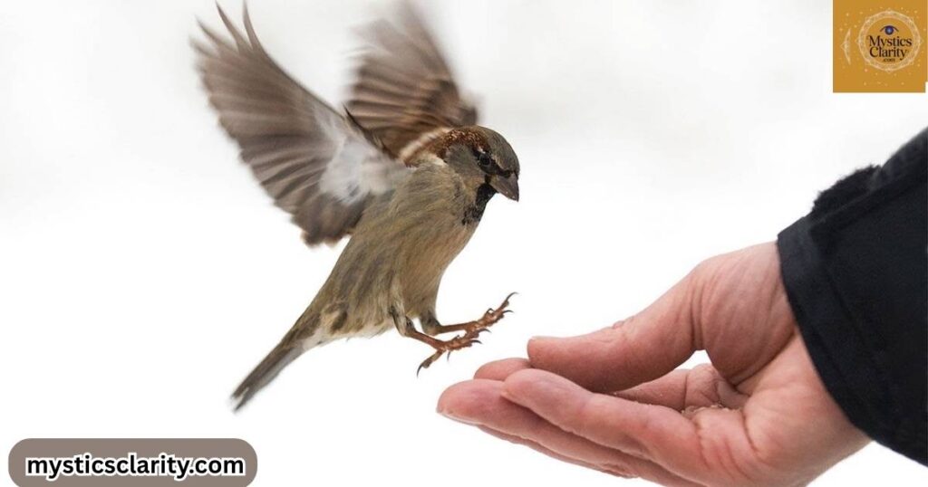 letting-go-and-embracing-change