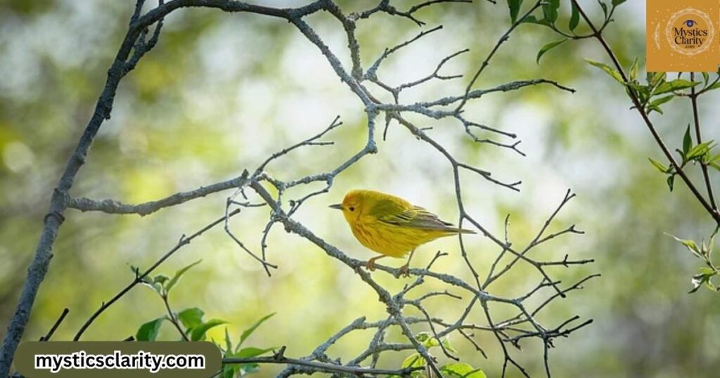 spiritual-significance-of-yellow-bird-in-buddhism