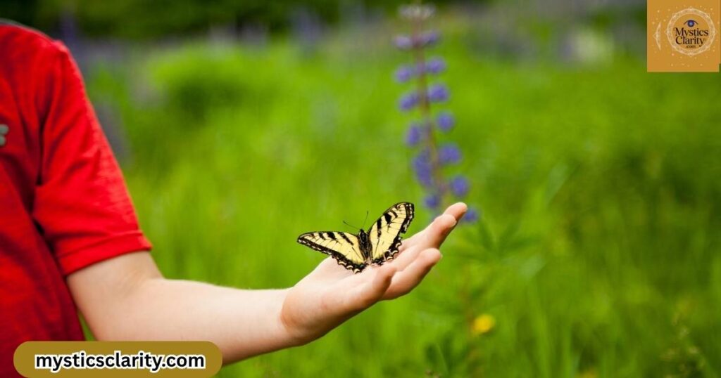what-does-it-mean-when-a-butterfly-lands-on-your-hand