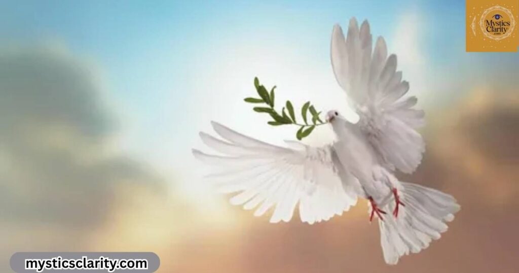white-pigeon-meaning-bible