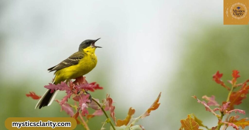 yellow-bird-power-animal