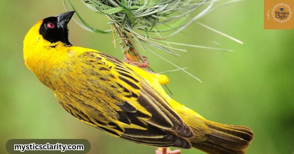 yellow-bird-spiritual-meanings-in-different-cultures-and-mythologies