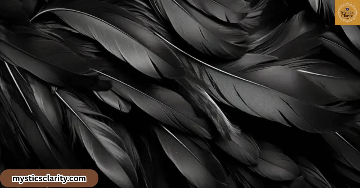black-feather-spiritual-meaning-symbolism-messages-guidance