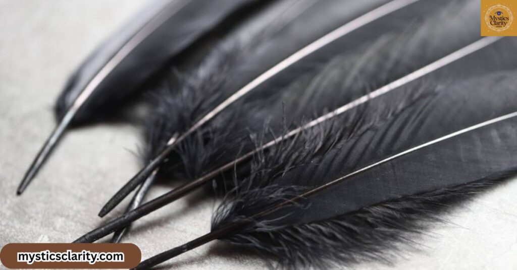 common-spiritual-messages-of-a-black-feather