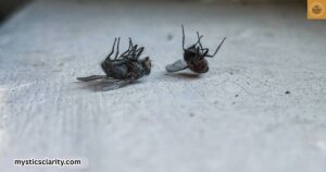 dead-flies-in-house-spiritual-meaning-mystics-clarity