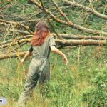 spiritual-meaning-of-a-tree-falling-and-symbolism-mystics-clarity