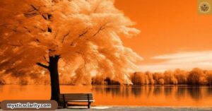 spiritual-meaning-of-the-color-orange-symbolism-energy-and-transformation