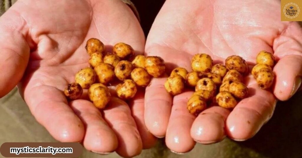 using-tiger-nuts-in-rituals