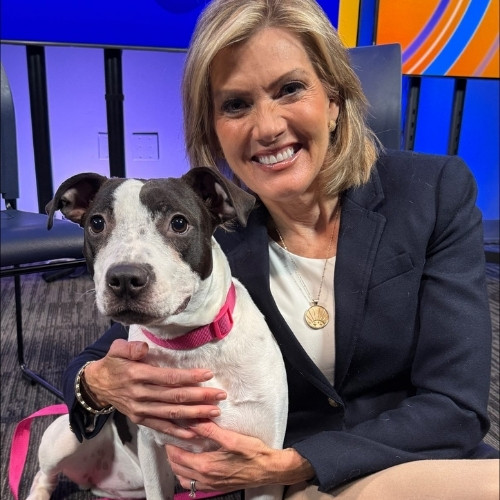 Who Is Cecily Tynan?