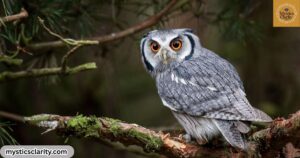 owl-spiritual-meaning-symbolism-wisdom-and-hidden-messages-of-seeing-an-owl